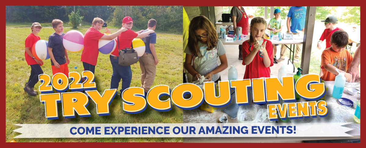 tryscoutingbannerpic