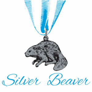 Silver-Beaver-1